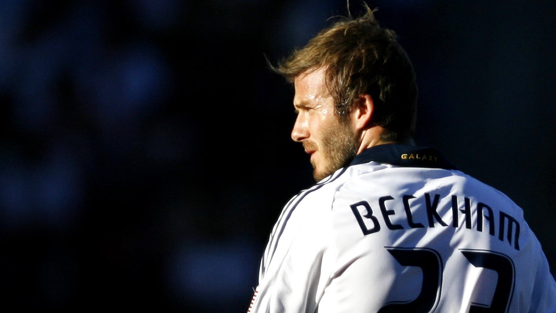 APEX英雄 全球总决赛即将来临，apex全国冠军